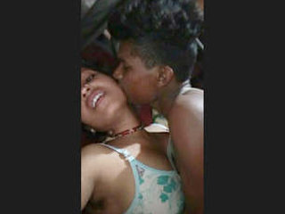 Seductive wife has sex with her brother-in-law