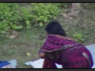 Explore the beauty of Indian tits in a village setting