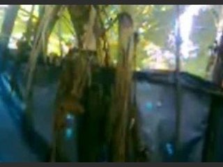 Lady Malla films her bathing in the shower